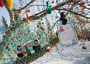 Яркая зима в парке «Центральный»: горожане «одели» деревья в цветные вязанные вещи