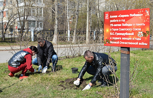 Новые кусты сирени появились накануне 80-летия Победы на Сиреневой аллее имени Героя Советского Союза Валентины Гризодубовой