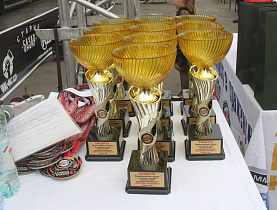 В Барнауле в День города прошел турнир по смешанным единоборствам